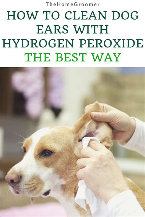 dog ear cleaning solution hydrogen peroxide